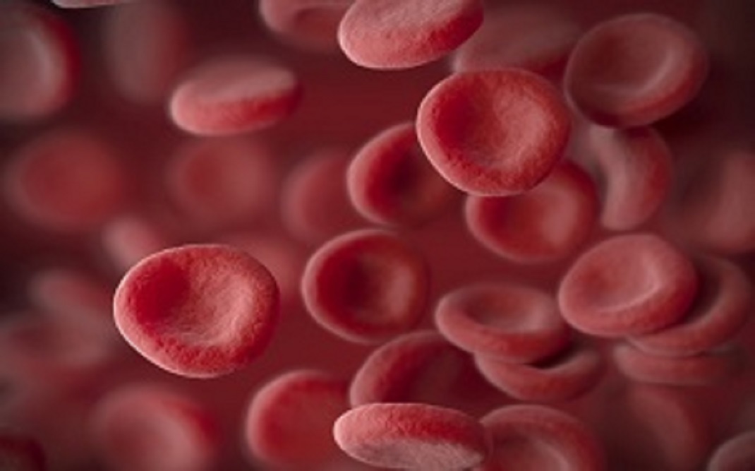 Betrixaban is an anticoagulant medication used for patients with VTE.