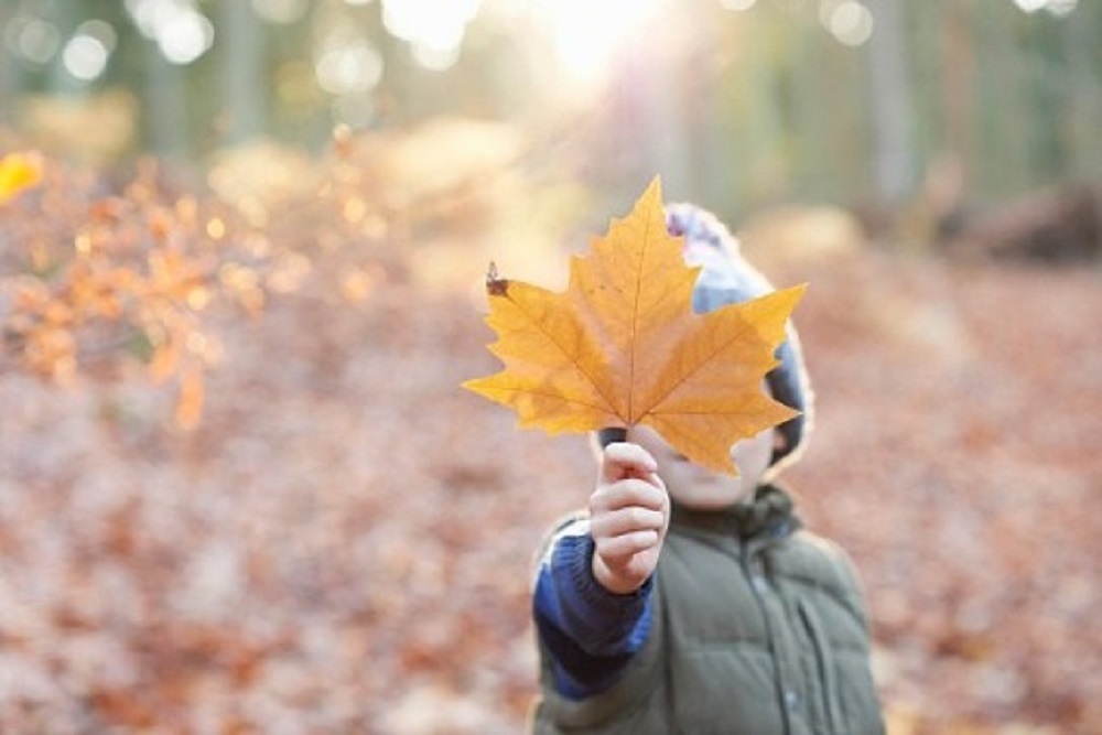 Autumn comes david. Autumn comes david