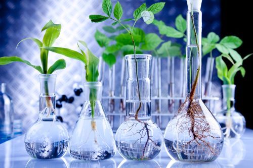 Resultado de imagen para biotecnologia agricola