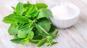 PureCircle’s approach to growing stevia is focused on science and sustainability.