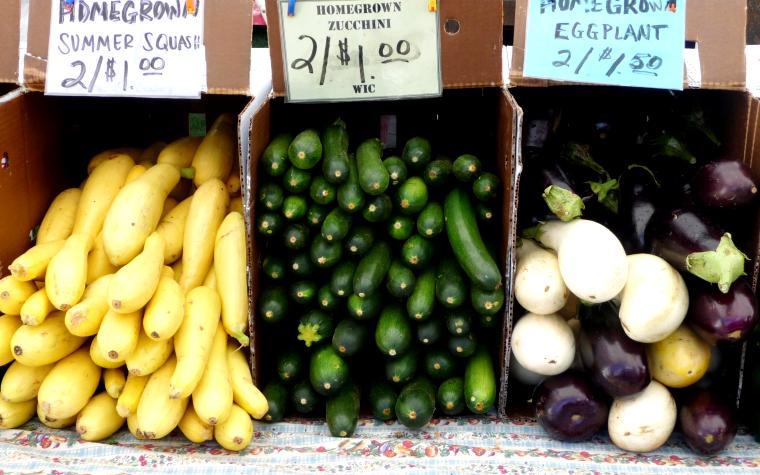 UMass Extension vegetable education specialist receives $144,617 grant