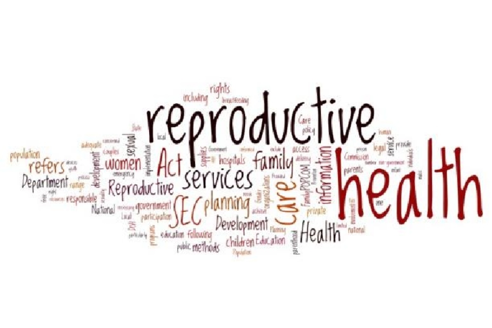 Img 01042019 000313 (1000 x 667 pixel)