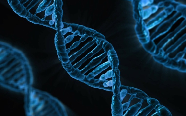 Brown researchers develop new ligase ideal for high temperature bioengineering applications
