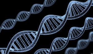 Stanford University researchers detail cellular marker discovery.