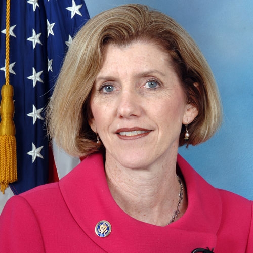 The CEA has named Erie County Executive Kathy Dahlkemper to its board of directors.