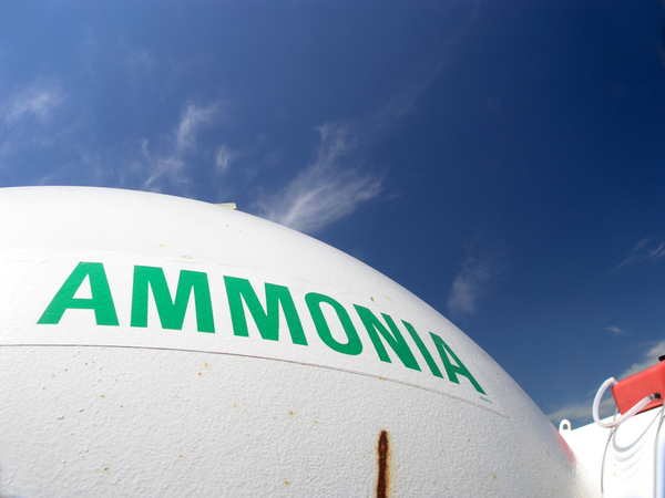 Every person who works at an ammonia-related function, including tool bars and equipment handling, should be certified.