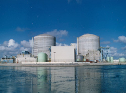 NRC discusses assessment of St. Lucie nuclear plant