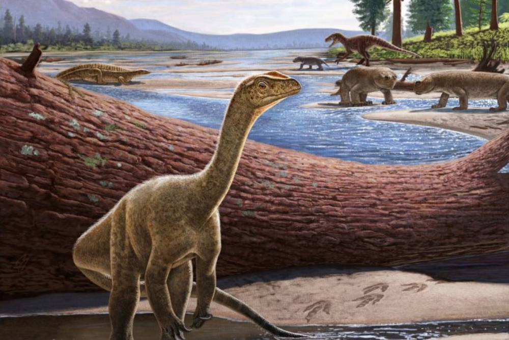 Virginia Tech and Zimbabwean Paleontology Teams Lead Discovery and