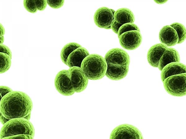 Meningitis Angels encourage stronger Meningitis B vaccinations