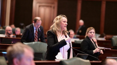 Illinois state Rep. Deanne Mazzochi (R-Elmhurst)