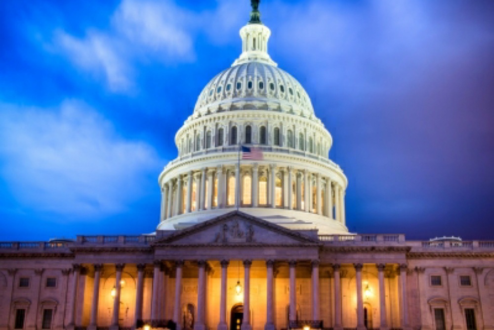 Img 20062020 005504  1000 x 667 pixel