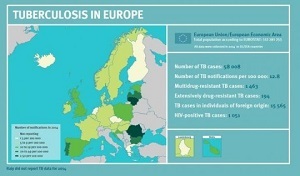 Dr. Andrea Ammon said in the E.U./EEA, the number of new TB cases has decreased by around 5 percent each year.