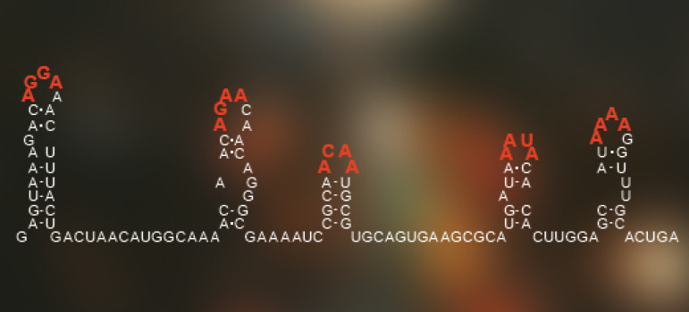 Researchers said they have cracked a genetic code to better understand several viruses.