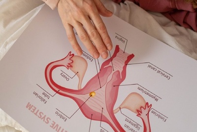 Medium sex ed pexels cottonbro