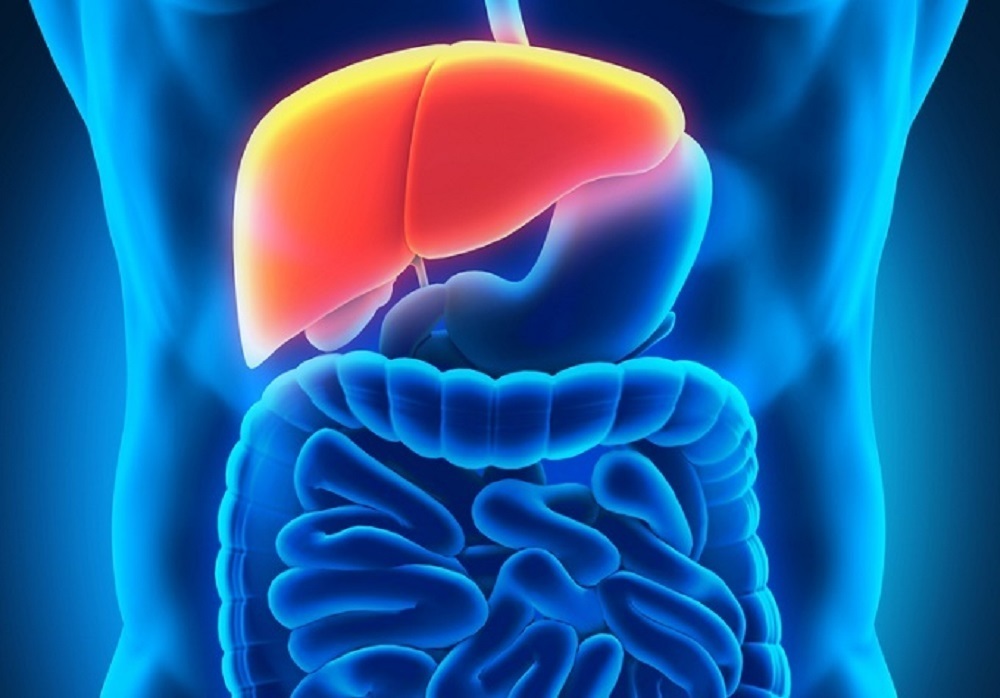 Chronic hepatitis B is a life-threatening illness that affects up to 2.2 million people in the U.S.