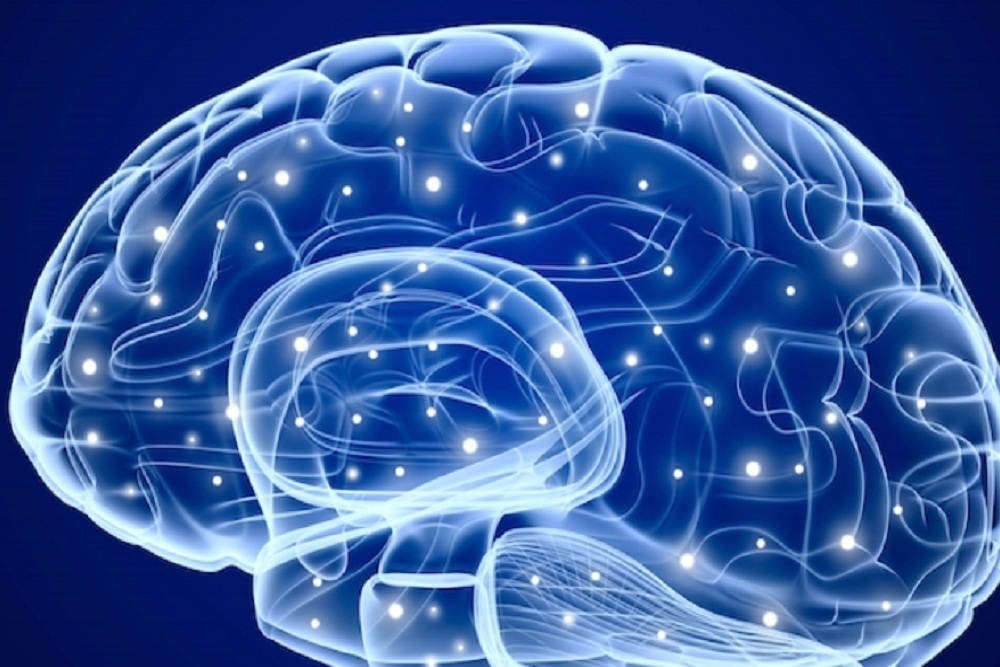 Banner Thunderbird Medical Center Preseason Brain Function