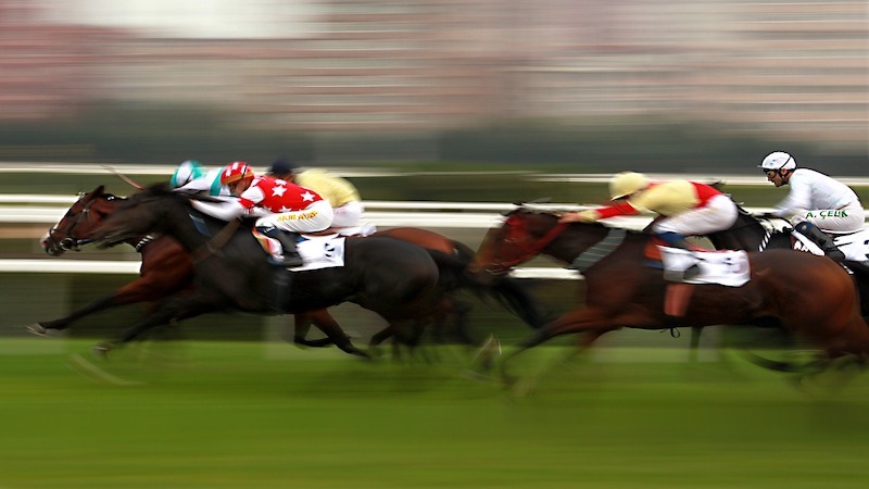 Kentucky Derby bettors sue Medina Spirit owner, trainers over alleged horse doping - Vimarsana News