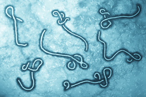 Ebola research overshadows other development efforts, report indicates.
