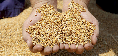 Integrated Ag LP launched a new agriculture technology program.