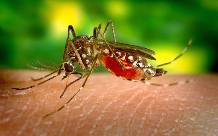 Brazil can work to improve health care outcomes, particularly related to dengue fever, the Zika virus and infant mortality.