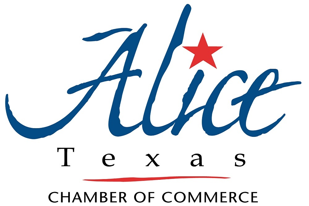 ALICE CHAMBER OF COMMERCE Introduction to Government Contracting to be