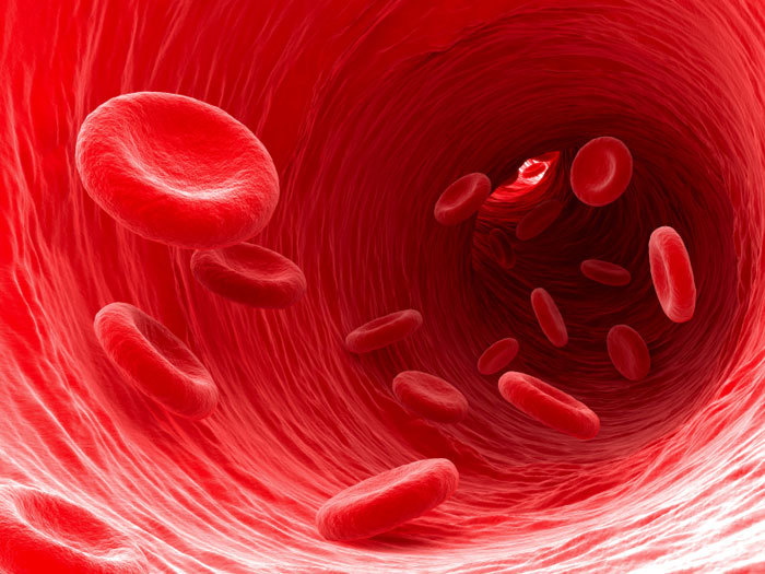 Blood thinning drug key to HIV barrier