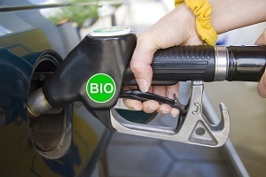 Medium biofuel