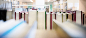 Robinson Public Library District board approves final budget revision