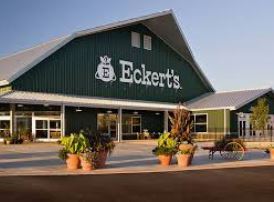 Woman sues Eckert's over trip, fall at Belleville location - Vimarsana News