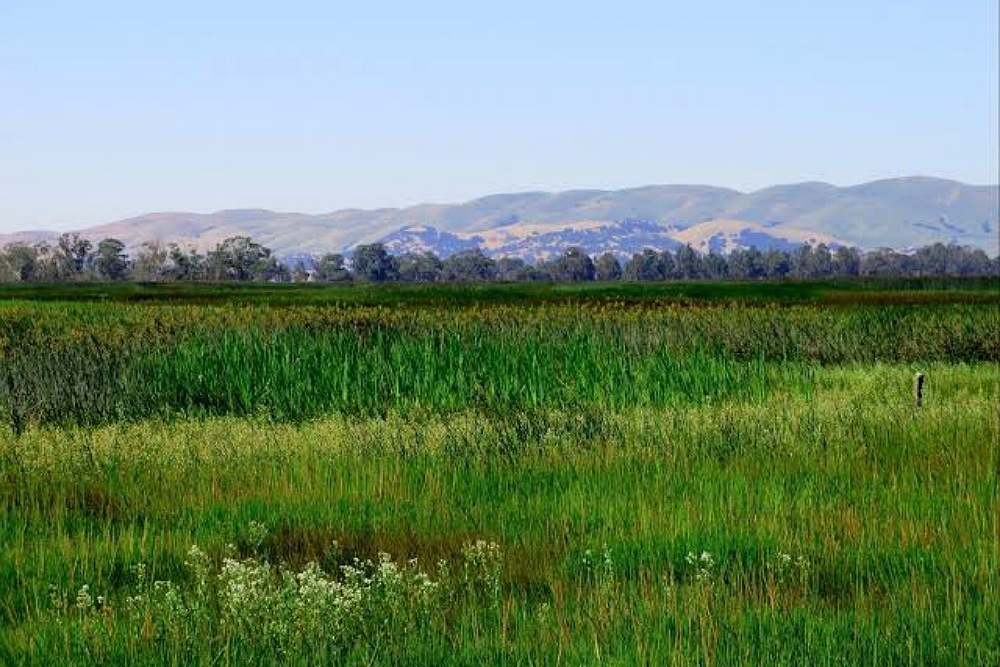 VILLAGE OF PARK FOREST Park Forest one of 88 cities in the world named