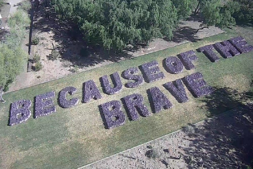 University of Phoenix holds annual Memorial Day flag-planting event honoring fallen soldiers - Vimarsana News
