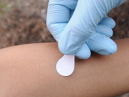 The microneedle patch is approximately a square centimeter.