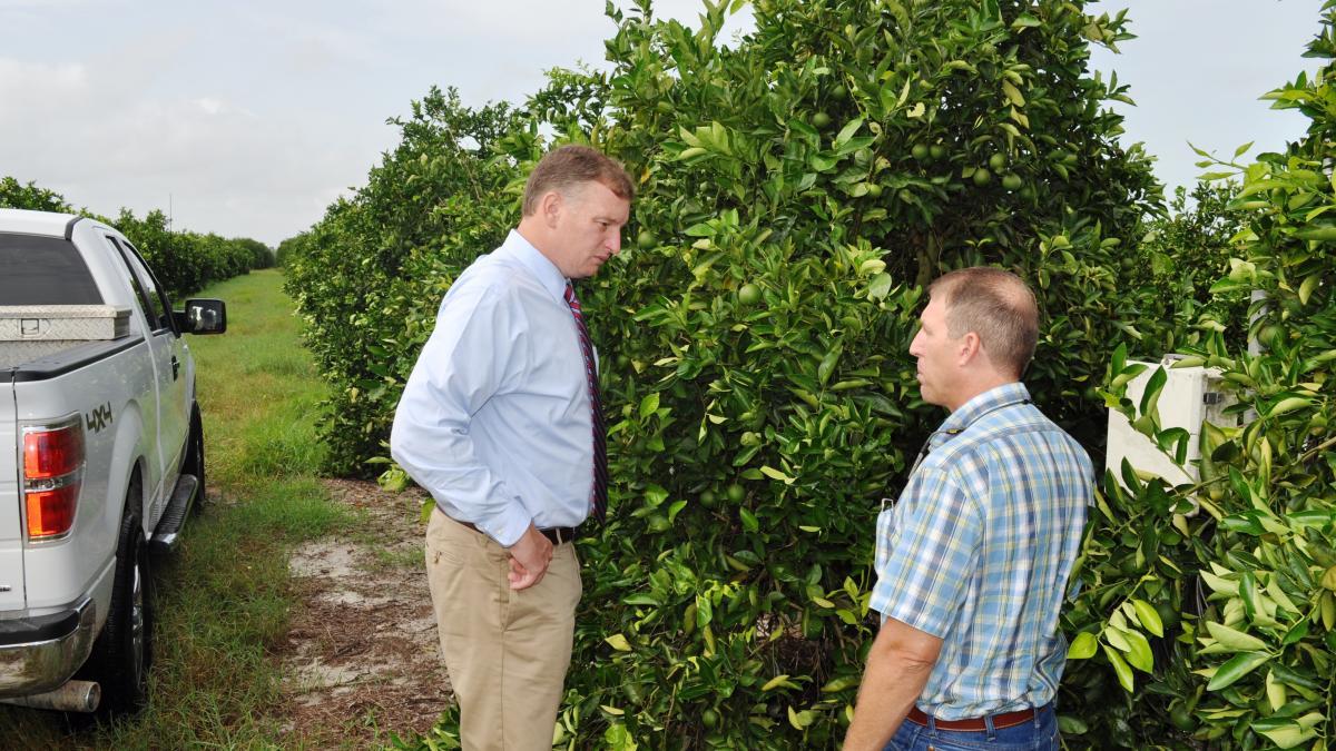 Florida receives funding for citrus research, protection.