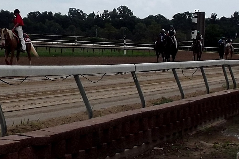 Federal appeals court hears Louisiana's case against federal horseracing authority - Vimarsana News