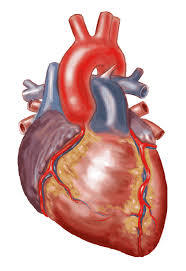Most cardiovascular disease patients drastically underuse statins.