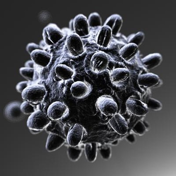 New partnership to create chronic hepatitis B immunotherapies