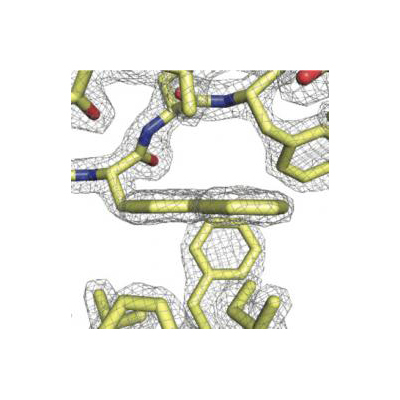 Researchers are studying how to design proteins that could be used therapeutically for victims of biological and chemical agents.