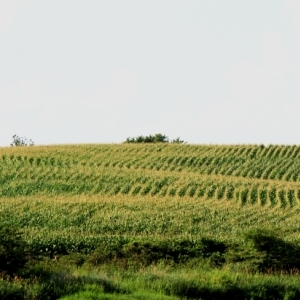 Importance of soil health recognized at national convention