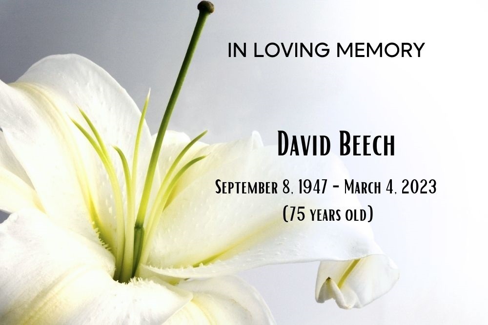 David Beech Houston Daily