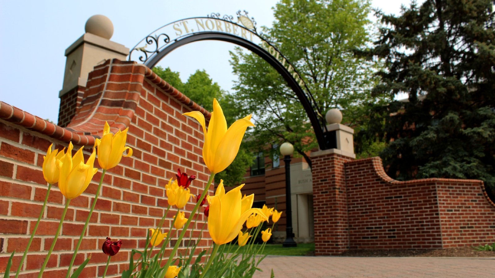 St. Norbert College celebrates 900 years of Norbertine order Catholic