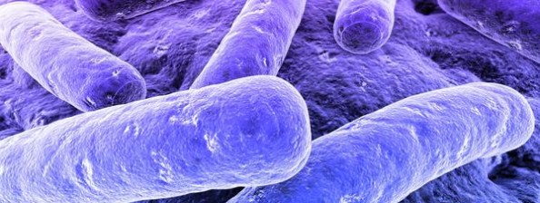 FIND and QuantuMDx’s research may reduce the turnaround time for genetic resistance profiling for tuberculosis treatment from a week to 30 minutes.