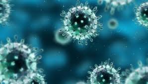 Takeda transfers HPV vaccine license to Kaketsuken