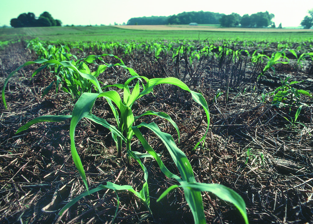 Growers must purchase one of many Multipaks during the three months of the program.