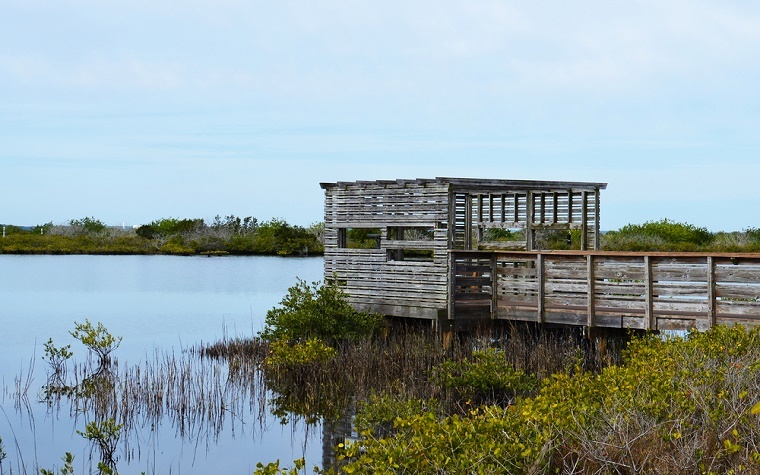 The wildlife blind project was meant to bring awareness to the natural environment.