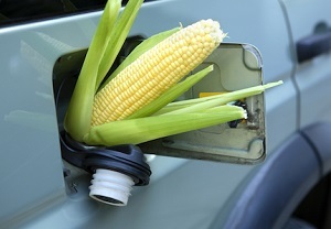 Japanese greenhouse reduction goals can be helped by U.S. corn ethanol