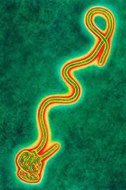 US partially able to treat Ebola
