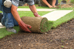Glen Carbon's G.L.E.N. Committee will review community gardening initiatives, among other issues, at tonight's meeting.