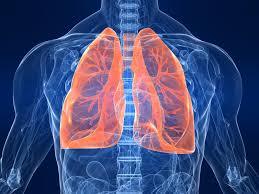 MERS update from Saudi Arabia