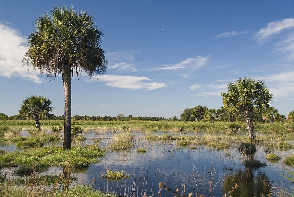 Florida developers urge federal court to back transfer of wetlands