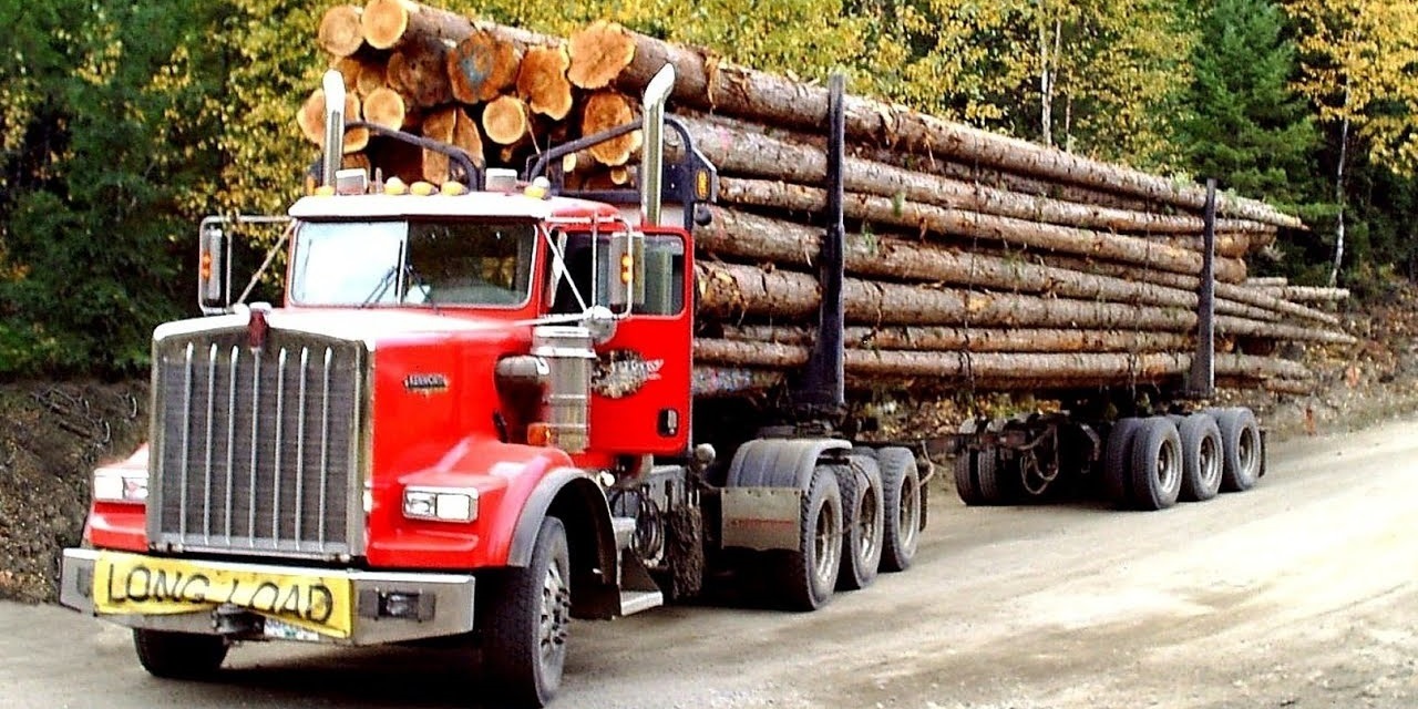 Louisiana Loggers Association disappointed with lack of action in ...